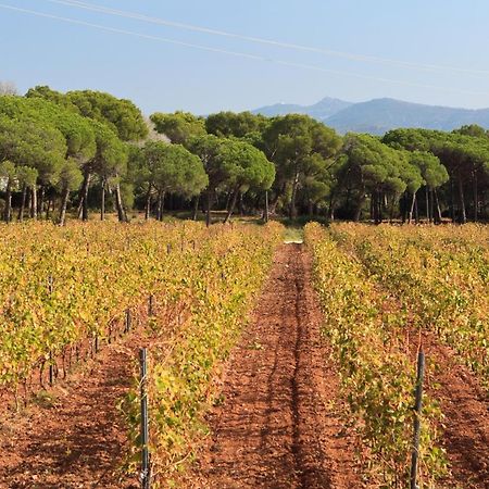 Le Gite Des Cinq Cepages Frejus Exterior photo